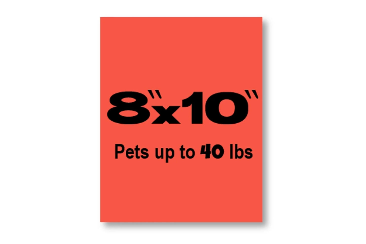 8x10 red box with white background