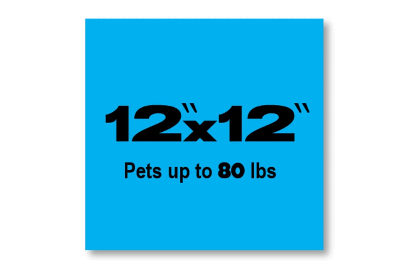 12x12 blue box with white background