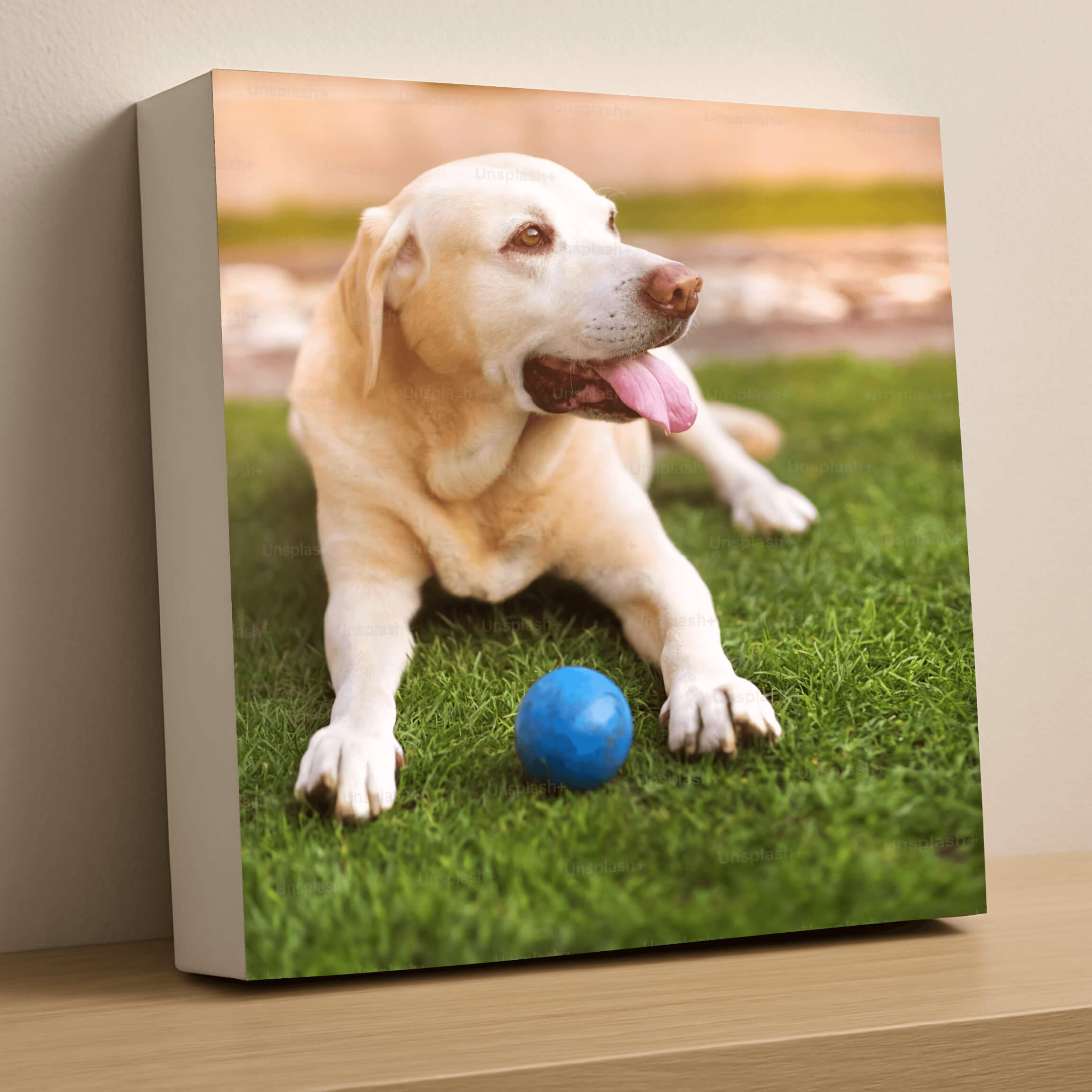 Pet Urn, pet urn for ashes, pet urn with photos, Pet urn for dogs, pet urn for cats, cat urn, Dog Urn for ashes, Urn for dogs, Pet memorial